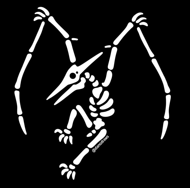 Skelly Ptera